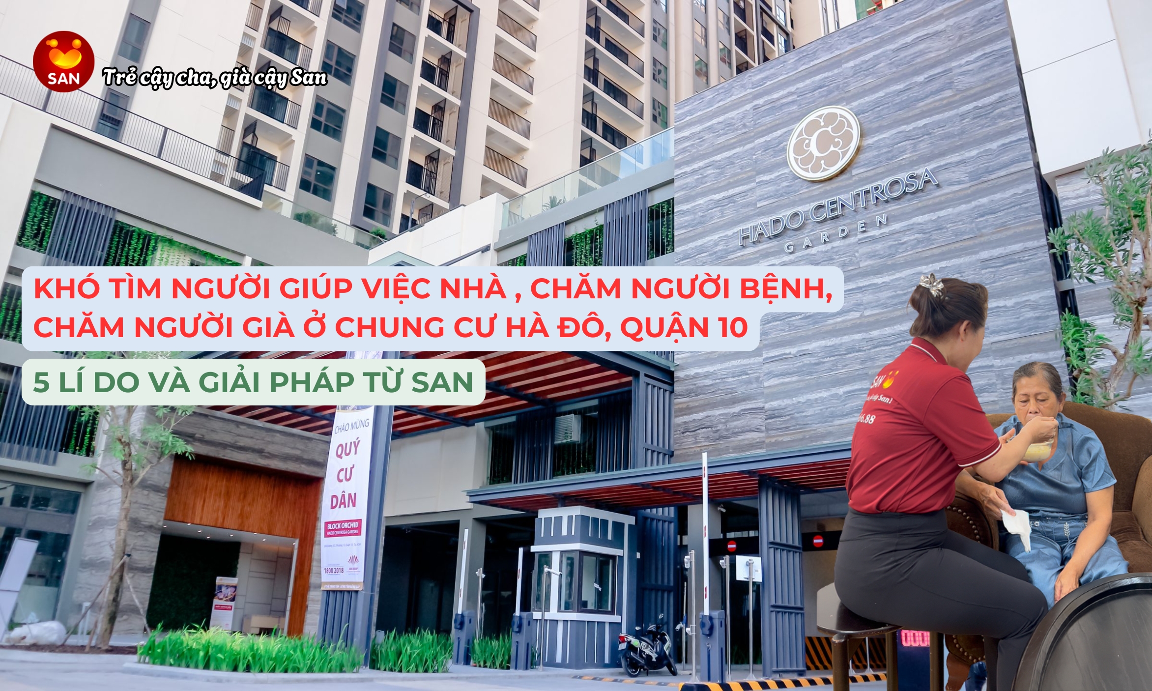 tìm người nuôi bệnh