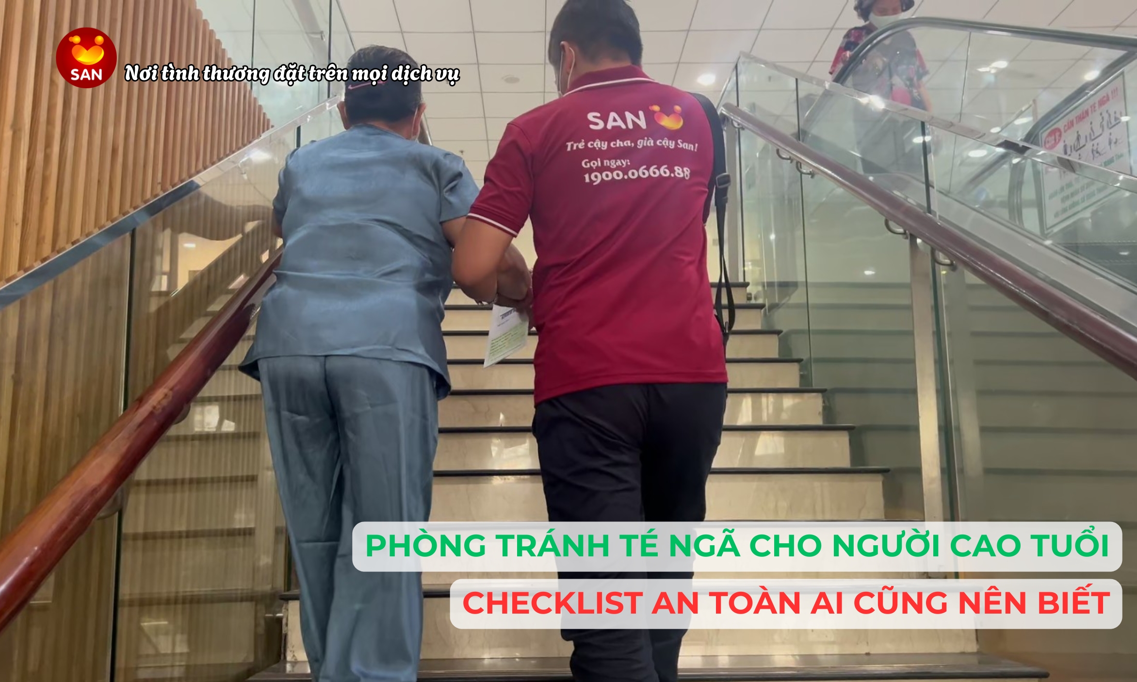 tìm người nuôi bệnh